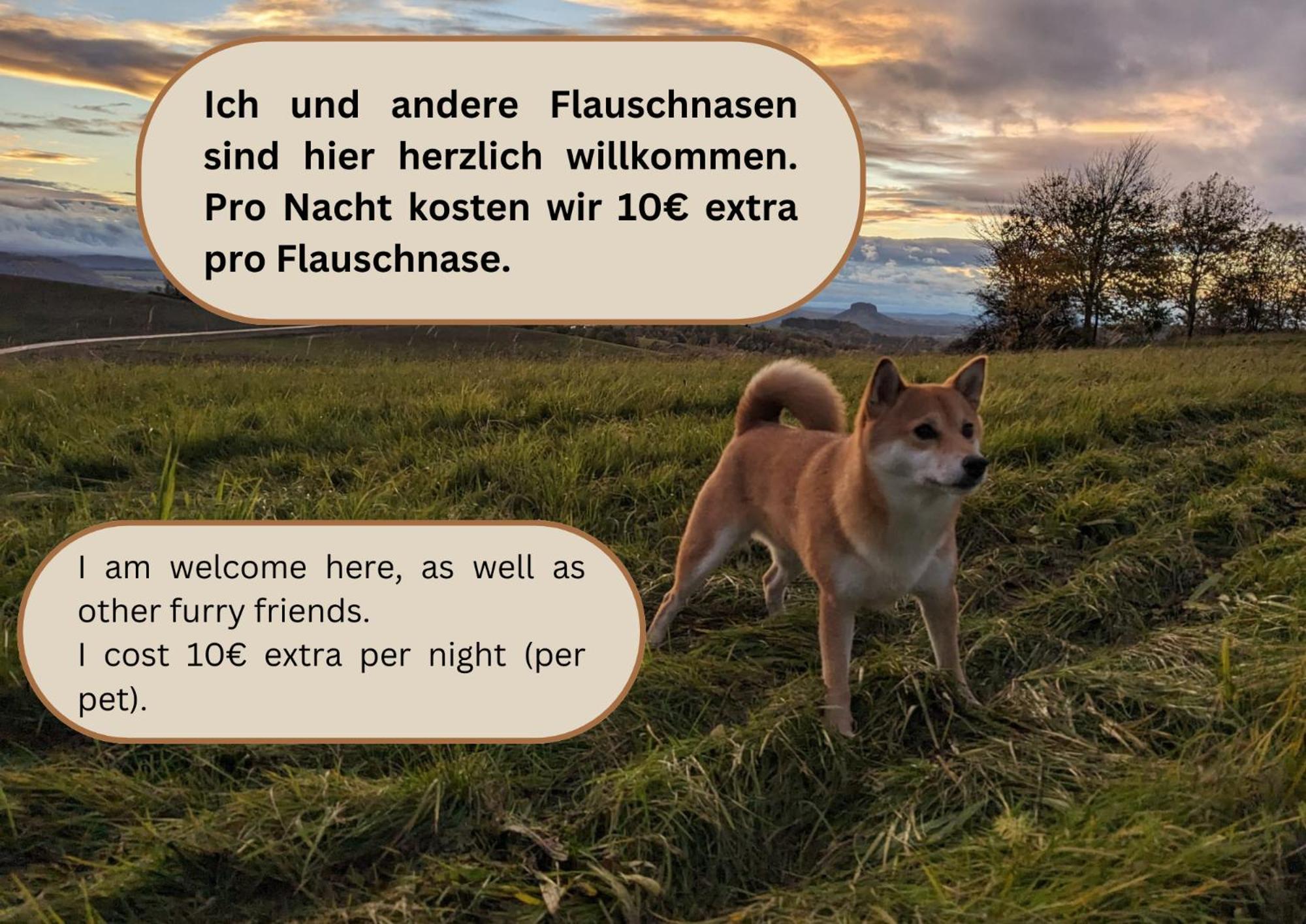 S1 - Urlaubsmagie - Direkt Loswandern, Bis Zu 4P Sebnitz Exterior foto